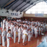 Academia Gorila Skierniewice - sporty walki w Skierniewicach, karate